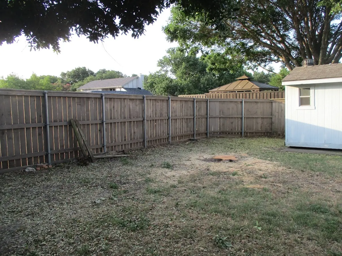 Cleared yard after professional tree removal in Woodbury