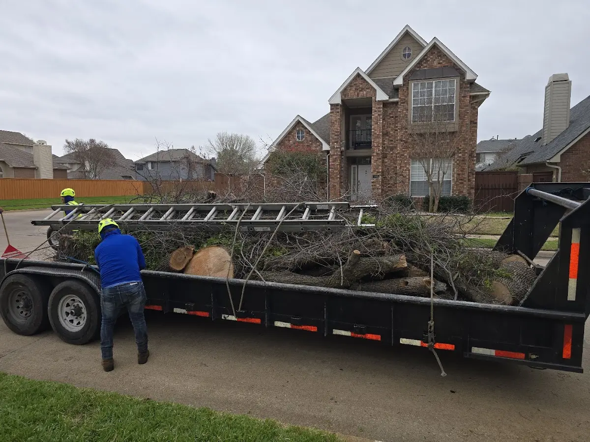 Expert Lot Clearing with proper safety equipment in Woodbury